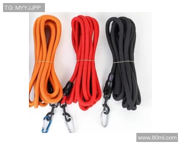 滑板战术解析：杭州滑板队如何构建高效进攻体系与战术配合